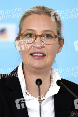 Fraktionssitzung der AfD-Bundestagsfraktion in Berlin