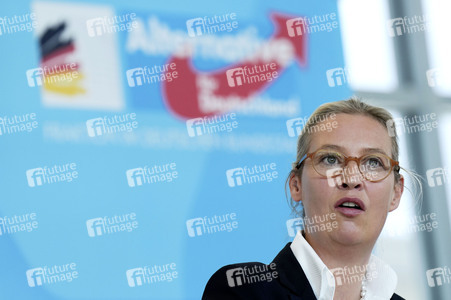 Fraktionssitzung der AfD-Bundestagsfraktion in Berlin