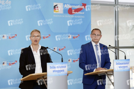 Fraktionssitzung der AfD-Bundestagsfraktion in Berlin