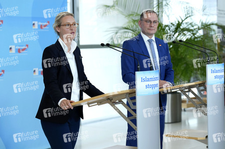 Fraktionssitzung der AfD-Bundestagsfraktion in Berlin