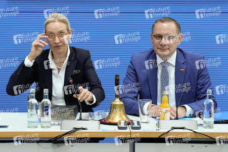 Fraktionssitzung der AfD-Bundestagsfraktion in Berlin