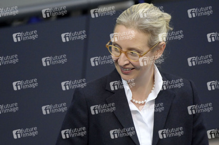 171. Sitzung des Deutschen Bundestages in Berlin