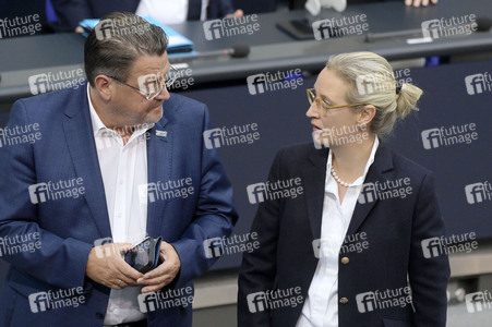 171. Sitzung des Deutschen Bundestages in Berlin