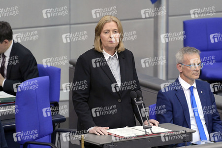 171. Sitzung des Deutschen Bundestages in Berlin