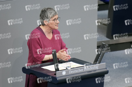 172. Sitzung des Deutschen Bundestages in Berlin