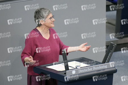 172. Sitzung des Deutschen Bundestages in Berlin