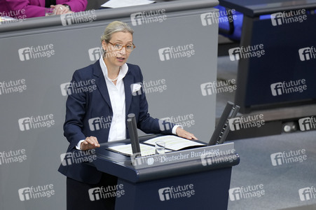 172. Sitzung des Deutschen Bundestages in Berlin