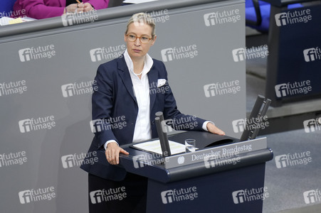 172. Sitzung des Deutschen Bundestages in Berlin