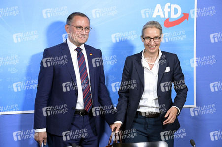 Pressekonferenz der AfD zur Europawahl in Berlin