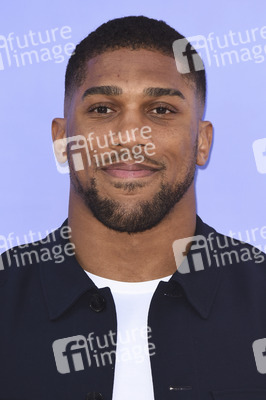 V&A Summer Party 2024 in London