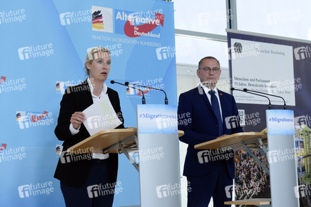 Fraktionssitzung der AfD-Bundestagsfraktion in Berlin