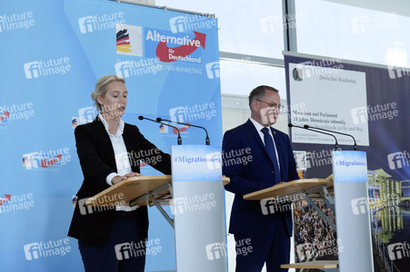 Fraktionssitzung der AfD-Bundestagsfraktion in Berlin