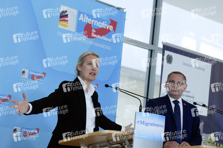 Fraktionssitzung der AfD-Bundestagsfraktion in Berlin