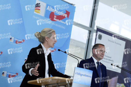 Fraktionssitzung der AfD-Bundestagsfraktion in Berlin