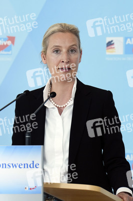 Fraktionssitzung der AfD-Bundestagsfraktion in Berlin