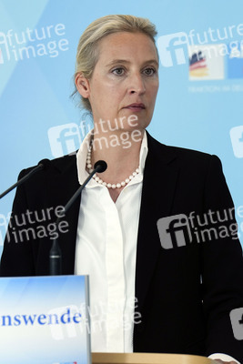 Fraktionssitzung der AfD-Bundestagsfraktion in Berlin