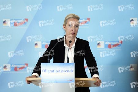 Fraktionssitzung der AfD-Bundestagsfraktion in Berlin