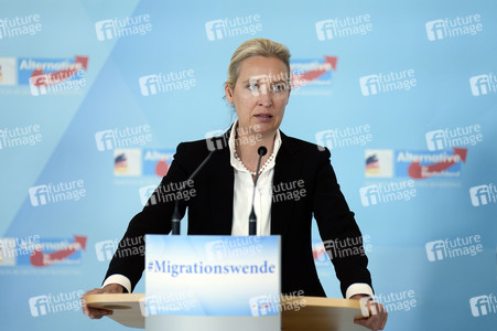 Fraktionssitzung der AfD-Bundestagsfraktion in Berlin