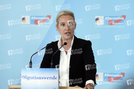 Fraktionssitzung der AfD-Bundestagsfraktion in Berlin