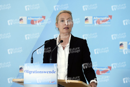 Fraktionssitzung der AfD-Bundestagsfraktion in Berlin