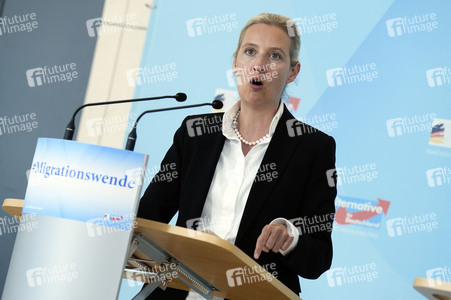 Fraktionssitzung der AfD-Bundestagsfraktion in Berlin