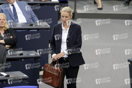 177. Sitzung des Deutschen Bundestages in Berlin