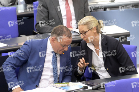 177. Sitzung des Deutschen Bundestages in Berlin