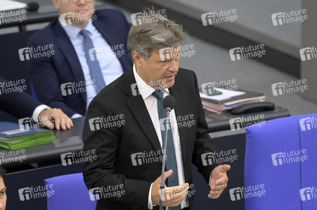 177. Sitzung des Deutschen Bundestages in Berlin