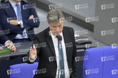 177. Sitzung des Deutschen Bundestages in Berlin