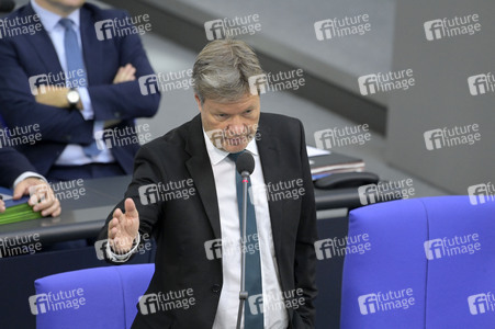 177. Sitzung des Deutschen Bundestages in Berlin