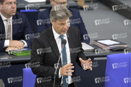 177. Sitzung des Deutschen Bundestages in Berlin