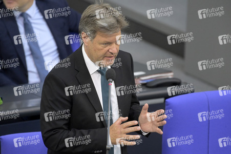 177. Sitzung des Deutschen Bundestages in Berlin