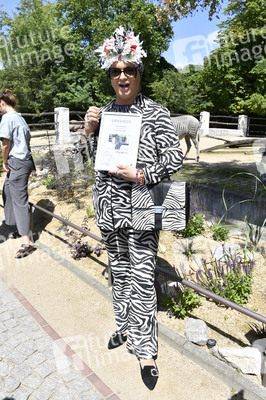 Ehrenpatenschaft von Julian F.M. Stoeckel für die Grevy-Zebras im Zoologischen Garten Berlin