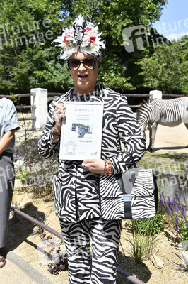 Ehrenpatenschaft von Julian F.M. Stoeckel für die Grevy-Zebras im Zoologischen Garten Berlin