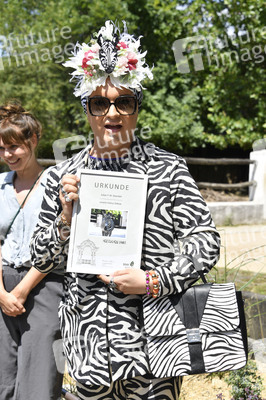 Ehrenpatenschaft von Julian F.M. Stoeckel für die Grevy-Zebras im Zoologischen Garten Berlin