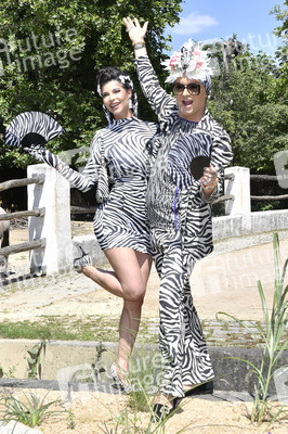 Ehrenpatenschaft von Julian F.M. Stoeckel für die Grevy-Zebras im Zoologischen Garten Berlin
