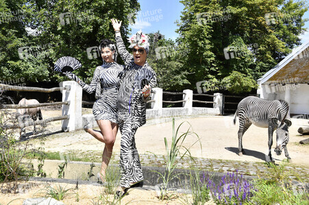 Ehrenpatenschaft von Julian F.M. Stoeckel für die Grevy-Zebras im Zoologischen Garten Berlin