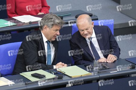 177. Sitzung des Deutschen Bundestages in Berlin