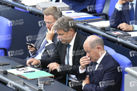 177. Sitzung des Deutschen Bundestages in Berlin