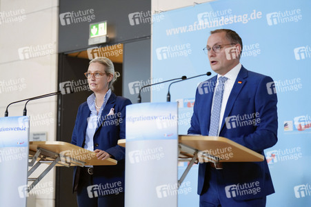 Fraktionssitzung der AfD-Bundestagsfraktion in Berlin
