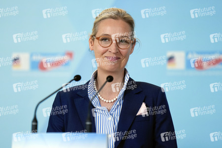 Fraktionssitzung der AfD-Bundestagsfraktion in Berlin