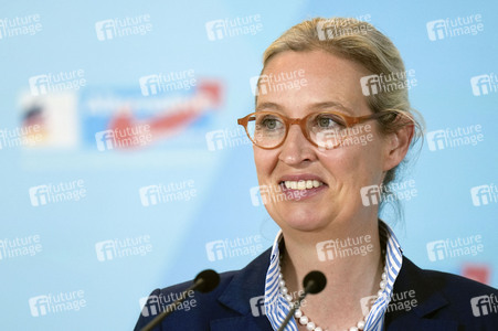 Fraktionssitzung der AfD-Bundestagsfraktion in Berlin