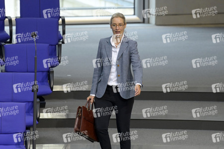 181. Sitzung des Deutschen Bundestages in Berlin