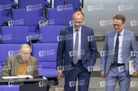 181. Sitzung des Deutschen Bundestages in Berlin