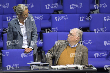 181. Sitzung des Deutschen Bundestages in Berlin