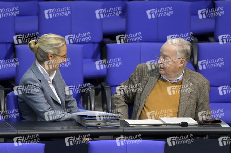 181. Sitzung des Deutschen Bundestages in Berlin