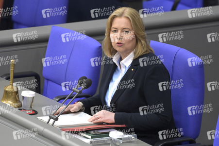 181. Sitzung des Deutschen Bundestages in Berlin