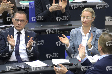 181. Sitzung des Deutschen Bundestages in Berlin