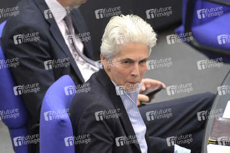 181. Sitzung des Deutschen Bundestages in Berlin