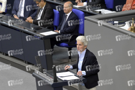 181. Sitzung des Deutschen Bundestages in Berlin